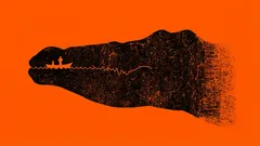 O que você viu primeiro: teste psicológico que revela as principais características da sua personalidade