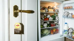 Por que pendurar um saquinho de chá na porta e colocar bolinhas de jornal na geladeira: 10 truques de pessoas econômicas