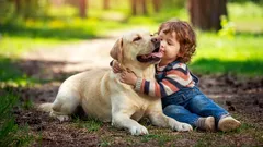 O que a raça do cão diz sobre o caráter do dono