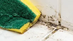 Esta bebida láctea remove instantaneamente manchas de mofo.