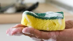 Uma maneira fácil de desinfetar a esponja de lavar louça e eliminar as bactérias: você só vai precisar de dois ingredientes.