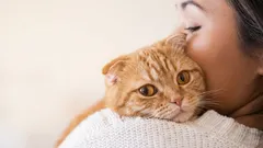 8 coisas que um gato só perdoa ao dono por causa do amor grande